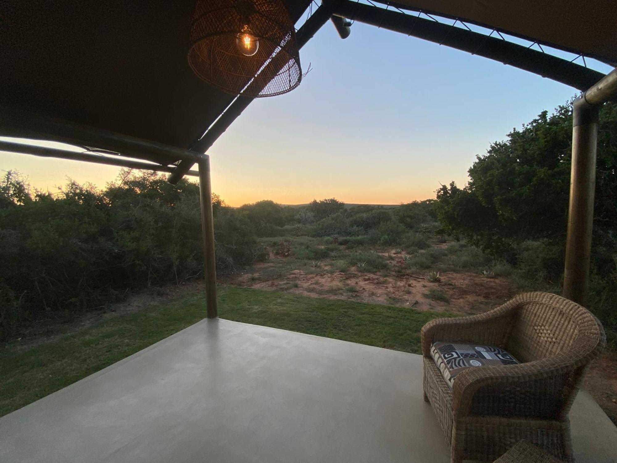 Charihandra Game Lodge Addo Exterior photo